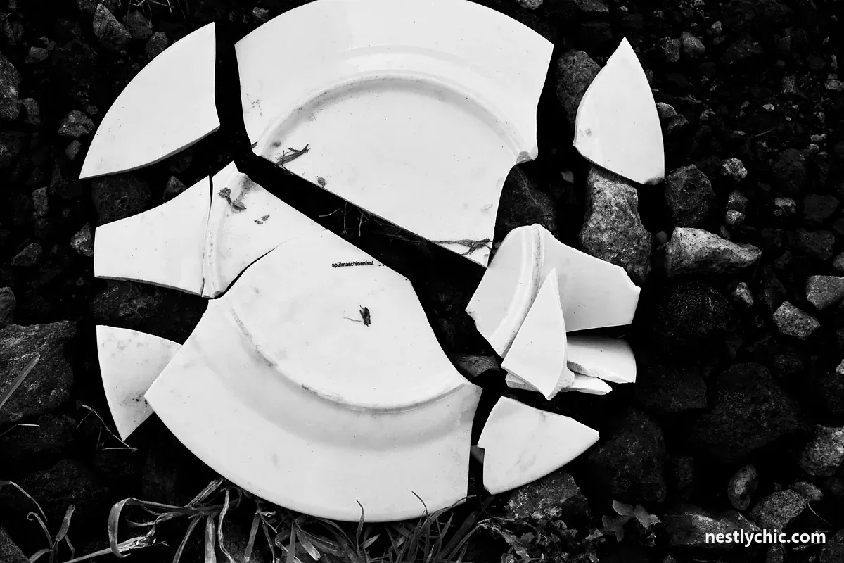 Shattered white ceramic plate
