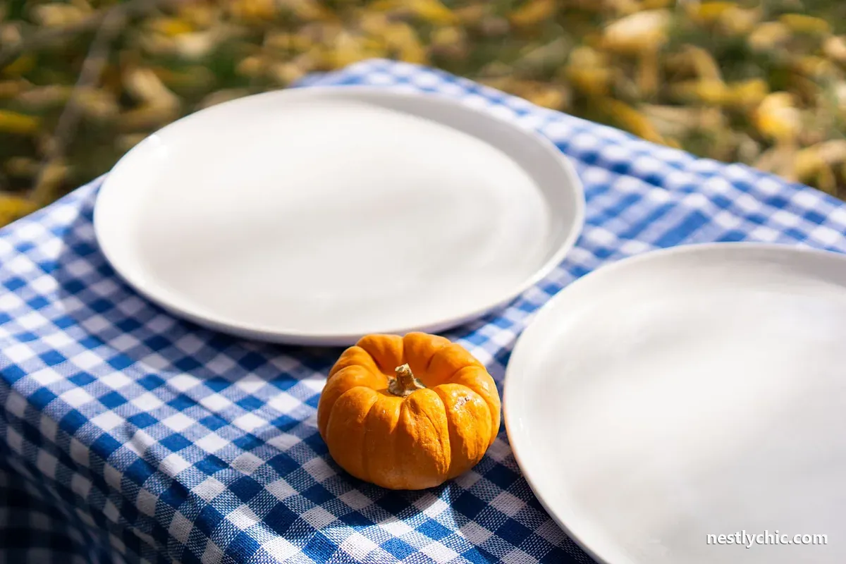 Picnic table with white plates on a checkered cloth